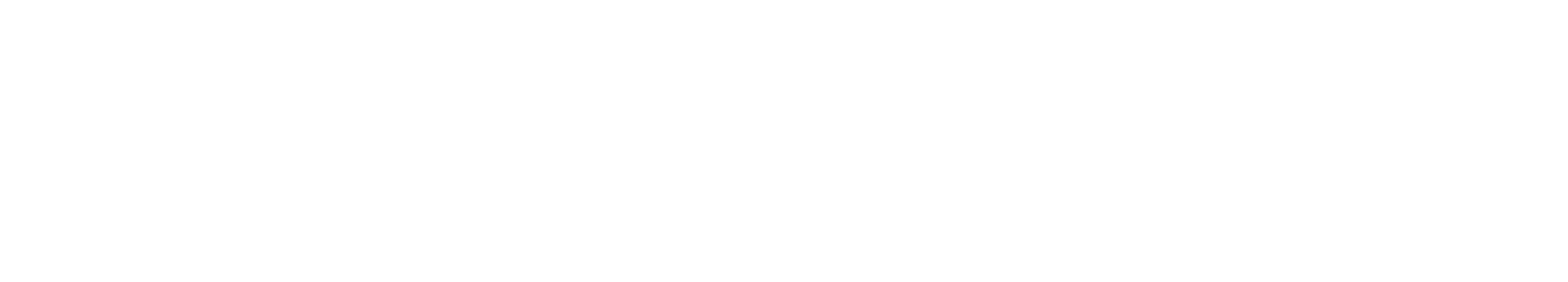 Logo - Snowplow - Snowflake
